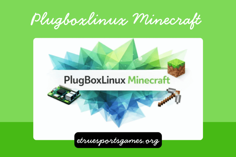 Plugboxlinux minecraft: The Complete Guide to Optimized Minecraft Performance on Lightweight Linux